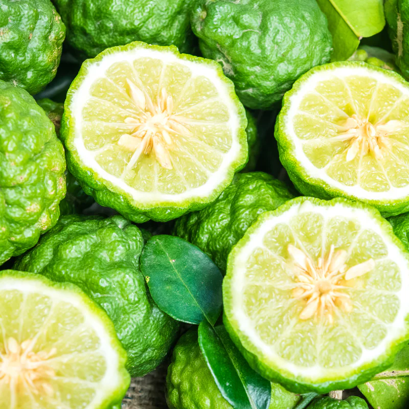 Bergamot Herbal Extract Toner - Image 2